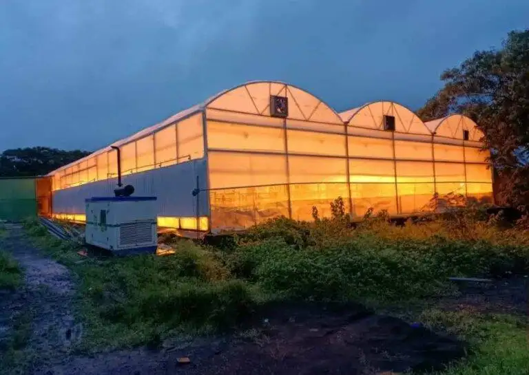 Supplementary lights