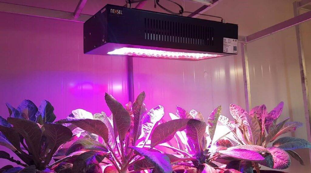 Green House Grow Light