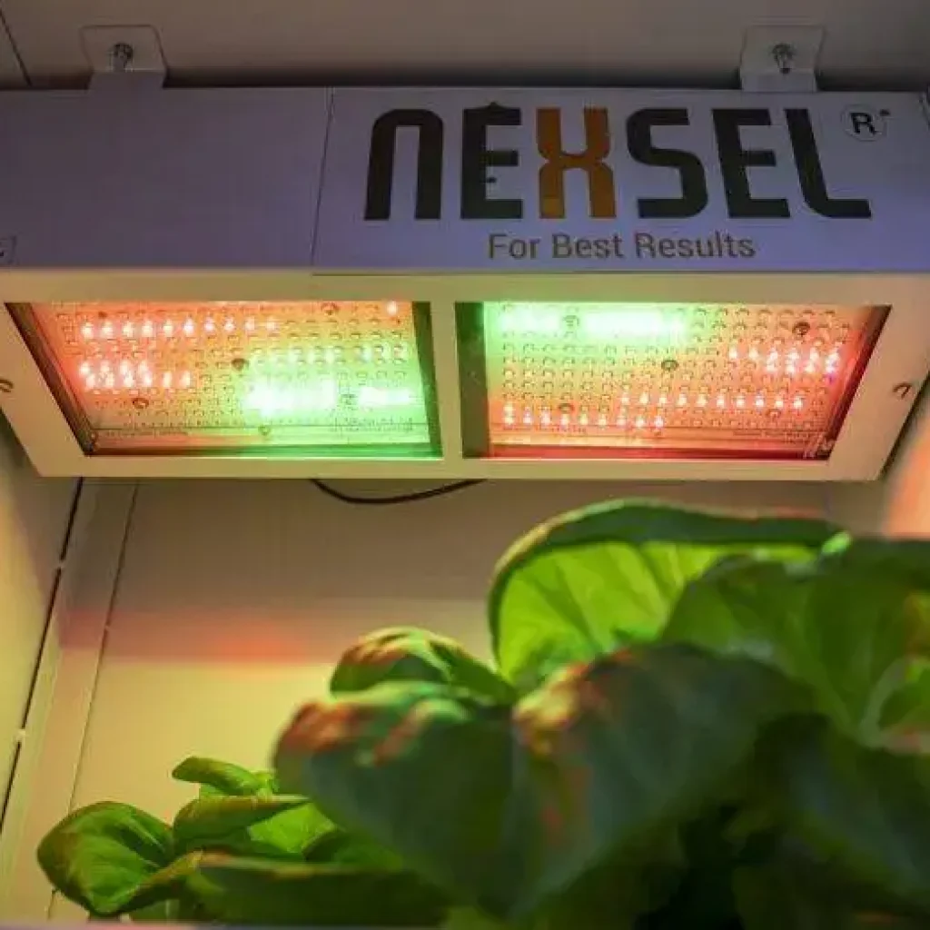 Nexsel Plant Research