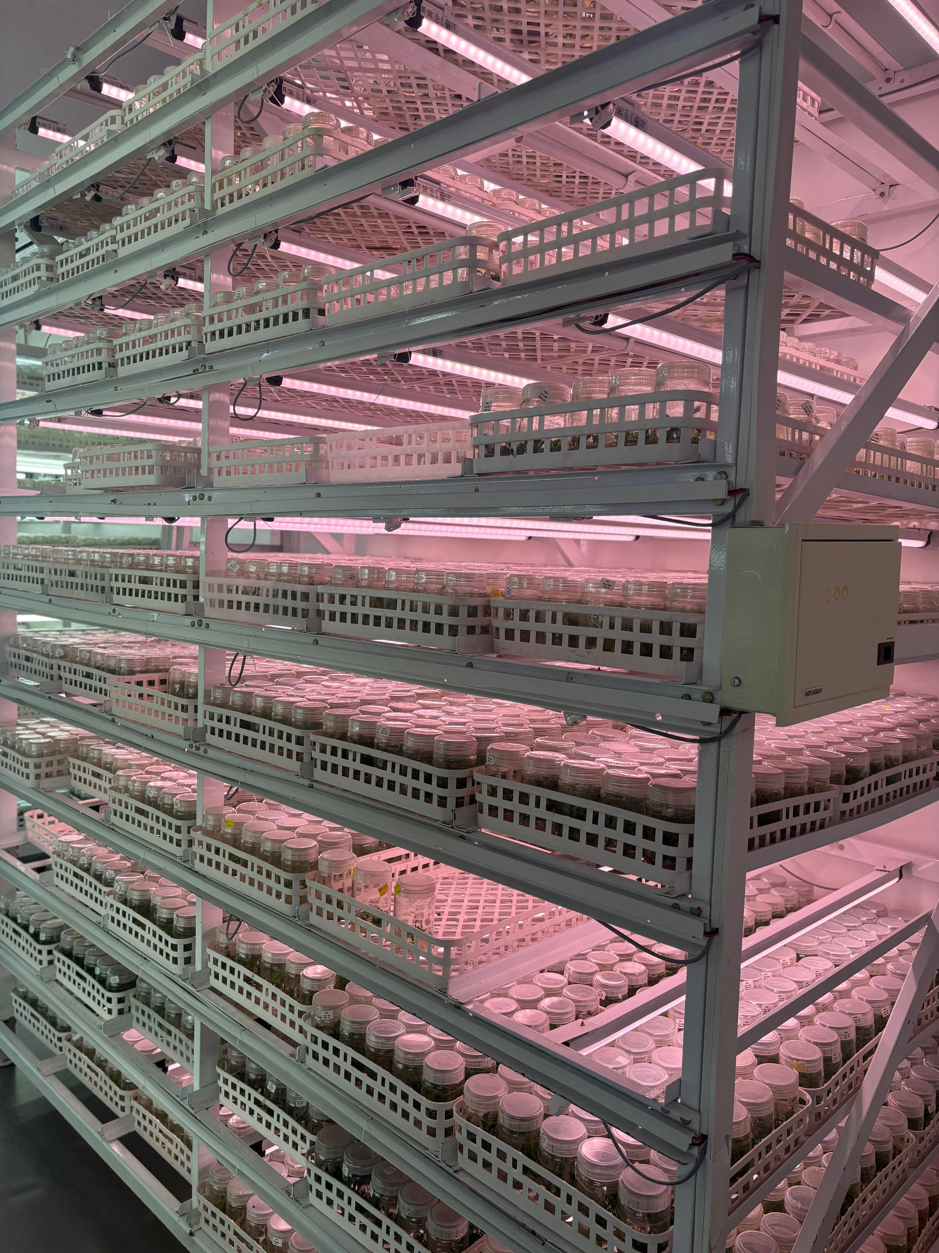 4FT 18W Grow Light for Microgreens