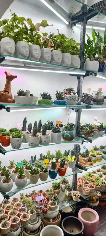 3FT 14W Grow Light for Ornamental Plants (Rack)