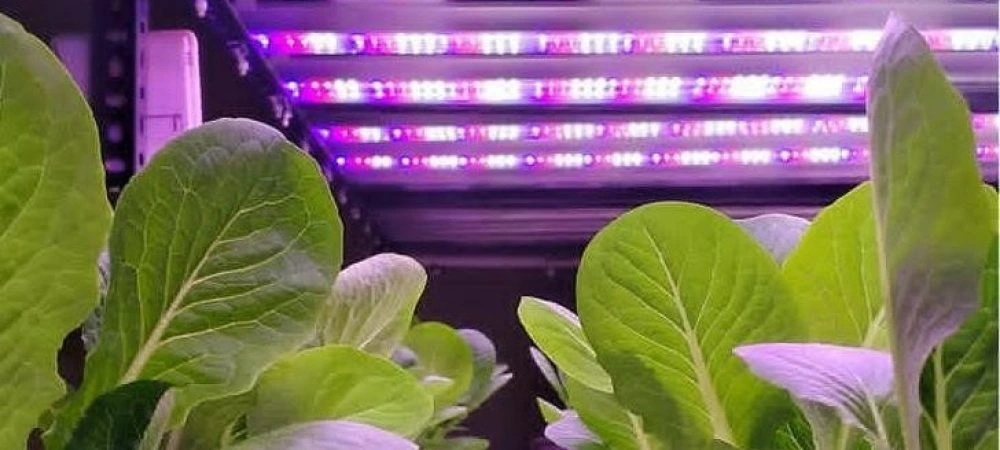 Installation Guide For Hydroponic LED Grow Light Bar