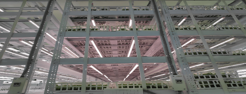 Installation Guide For Tissue Culture Grow Lights Bar - TSGL8 & TSGL8-R