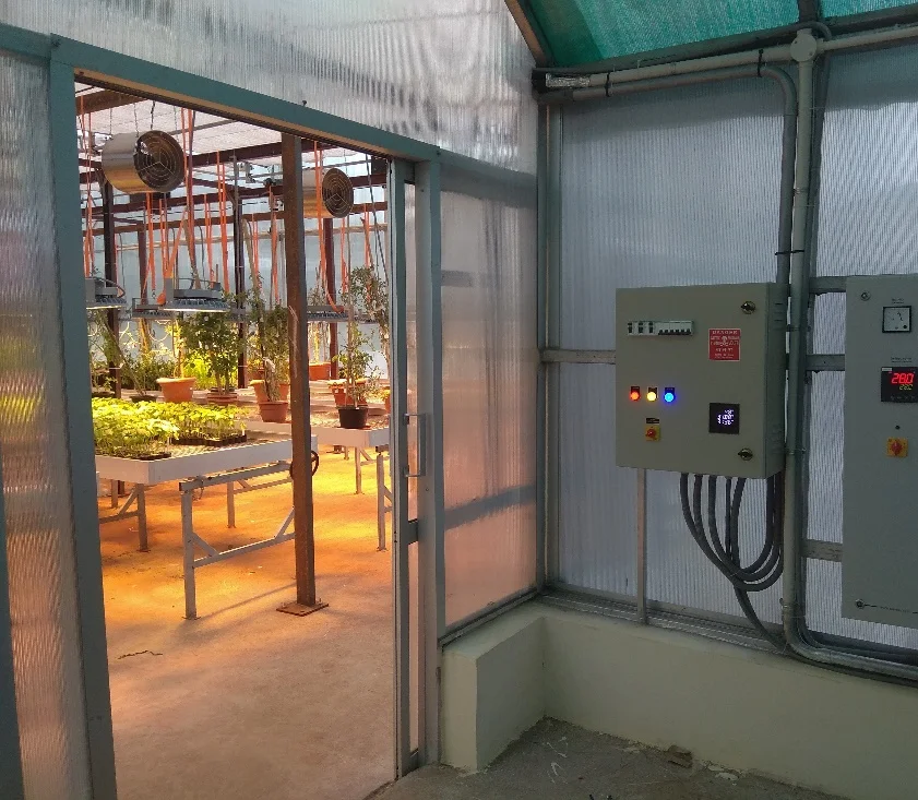 Wheat Speed Breeding