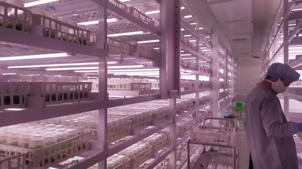 Advent Plantech LLP.