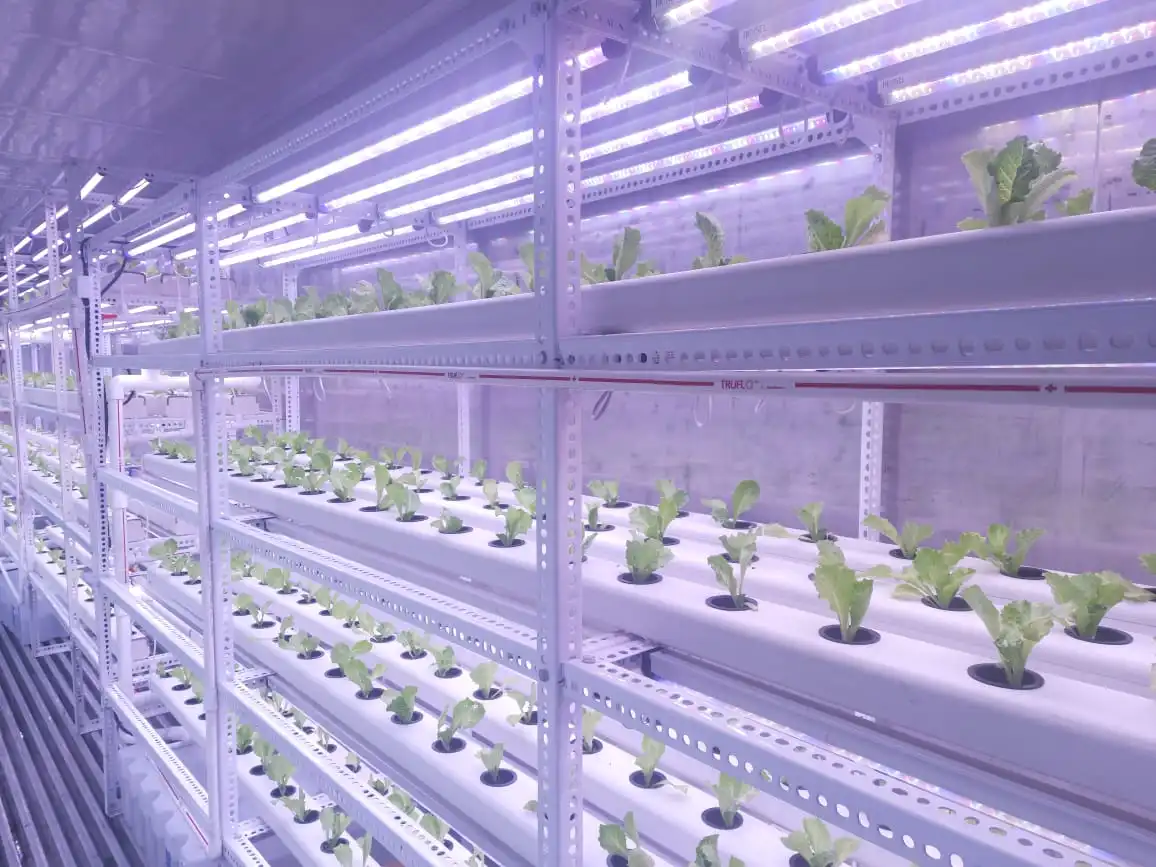 Container Farm
