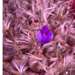 Sutradhar Project Consultancy