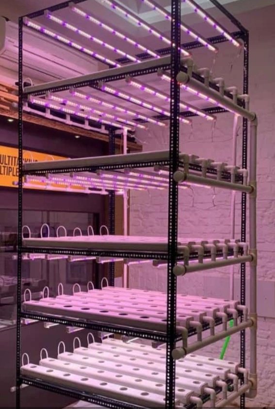 Urban Farm System & Technologies