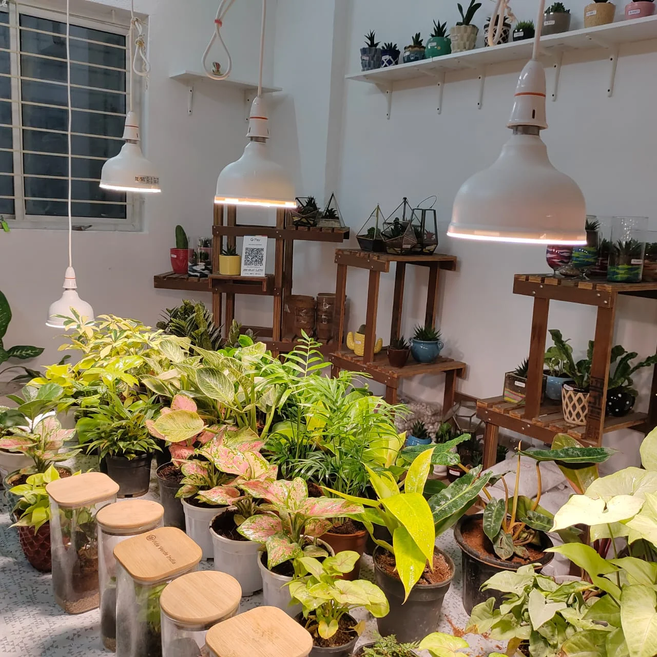 26W Non-Dimmable Grow Light for Balcony & Ornamental Plants