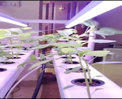 GWGL Concealed Light