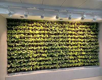 Green Wall Lighting Solution