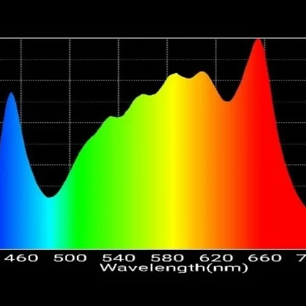 Nx2 Bloom Spectrum PPFD