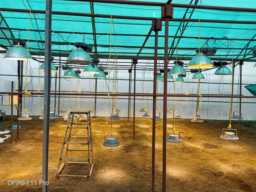 Wheat Speed Breeding