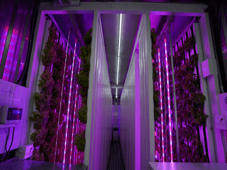 365D Farms Project 1