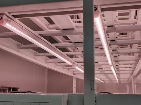 365D Farms Project 1