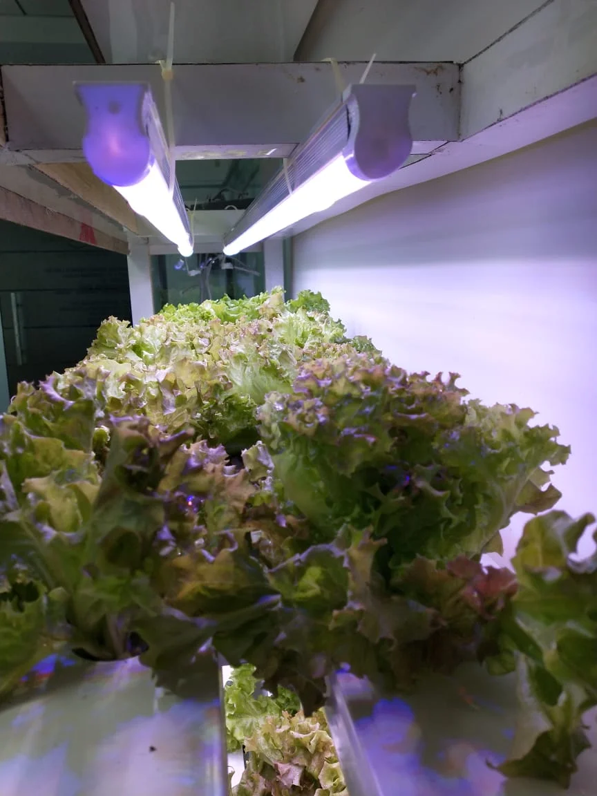 Barton Breeze Pvt. Ltd.