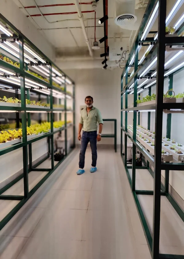 Dubai Government Project