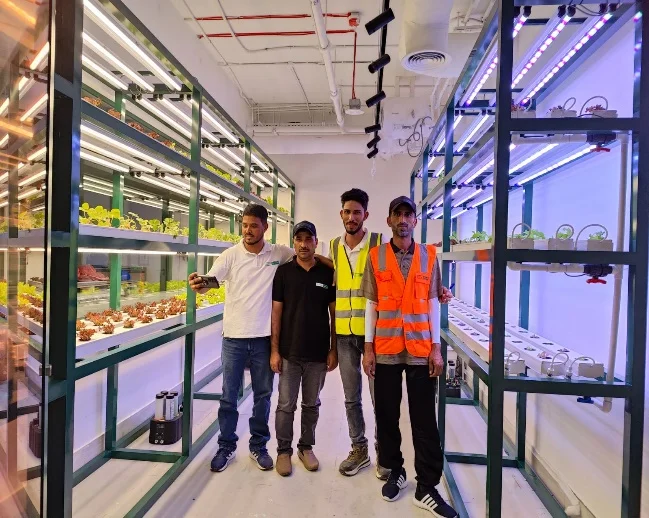 Dubai Government Project