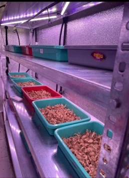 Sutradhar Project Consultancy