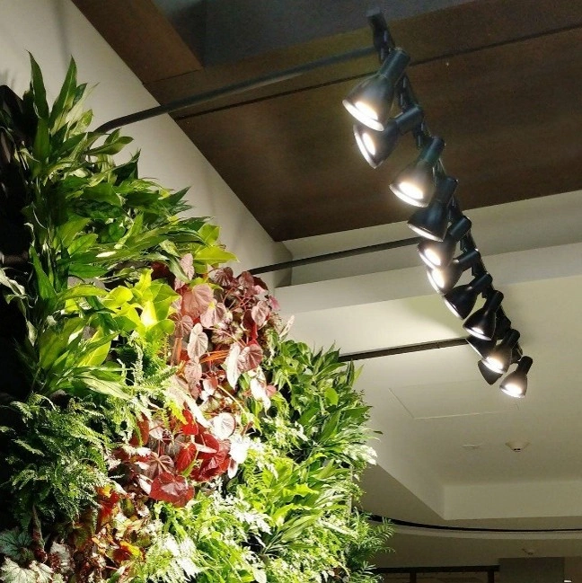 Architectural Grow Lights for Indoor Plants