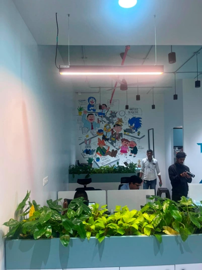 6 Things to Check Before Installing Grow Lights for Office Plants