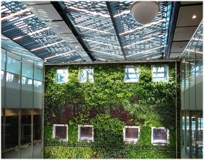Essential Tips to Maintain a Healthy Indoor Green Wall