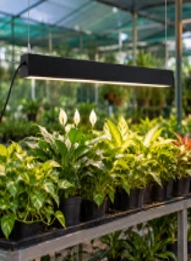 Linear Grow Lights for Indoor Landscaping