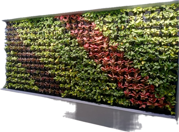 LED Spectrum Flowering Regulation in Ornamental Plants: A Comprehensive Review