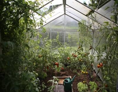 Artificial Lighting Solution for Plant Research