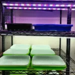 How to compare grow lights?