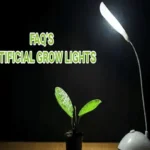 india artificial light