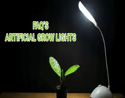 Artificial Lights For Plant