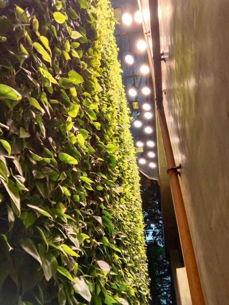 Vertical green wall
