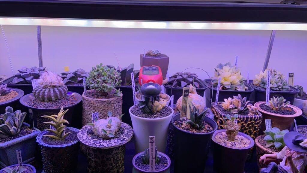 Individuals’ growers