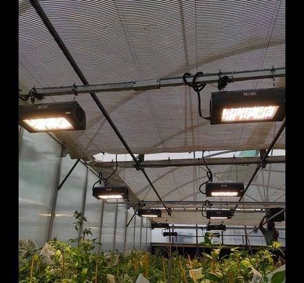 Supplemental lights for greenhouse