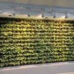 LED Grow Lights 5
