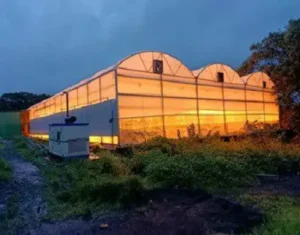 india supplemental lighting