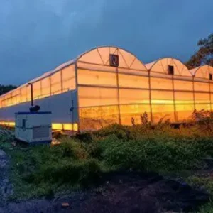 Horticultural Science 8 india supplemental lighting