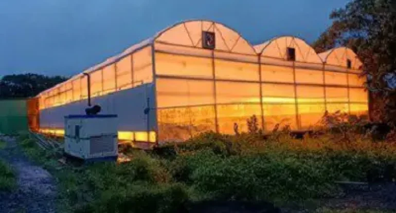 india supplemental lighting