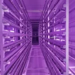 india Grow Chambers