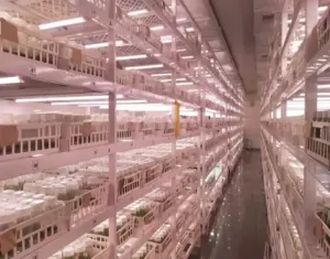 LED Grow Lights