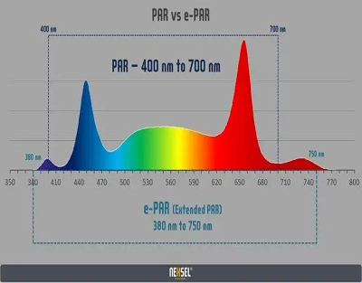 Understanding Difference between PAR vs ePAR