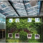 india indoor green wall
