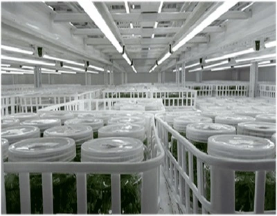 nexsel-tissue-culture-grow-light-installation-guide