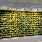 Artificial Lighting for Green Wall