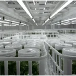 Plant Tissue Culture Lighting