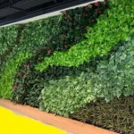 Lighting Tips for Indoor Green Walls