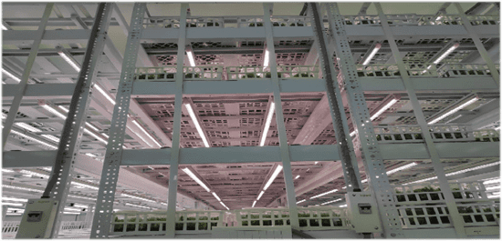 Tissue Culture Lighting Cost