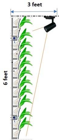 india green wall 3