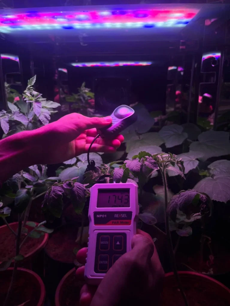 Essential Plant Lighting Concepts